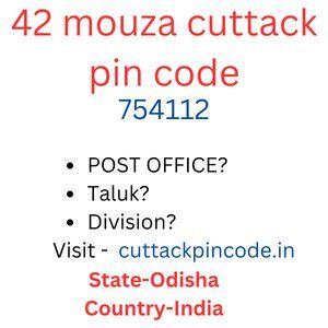 42 mouza cuttack pin code