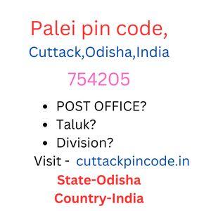 Palei pin code